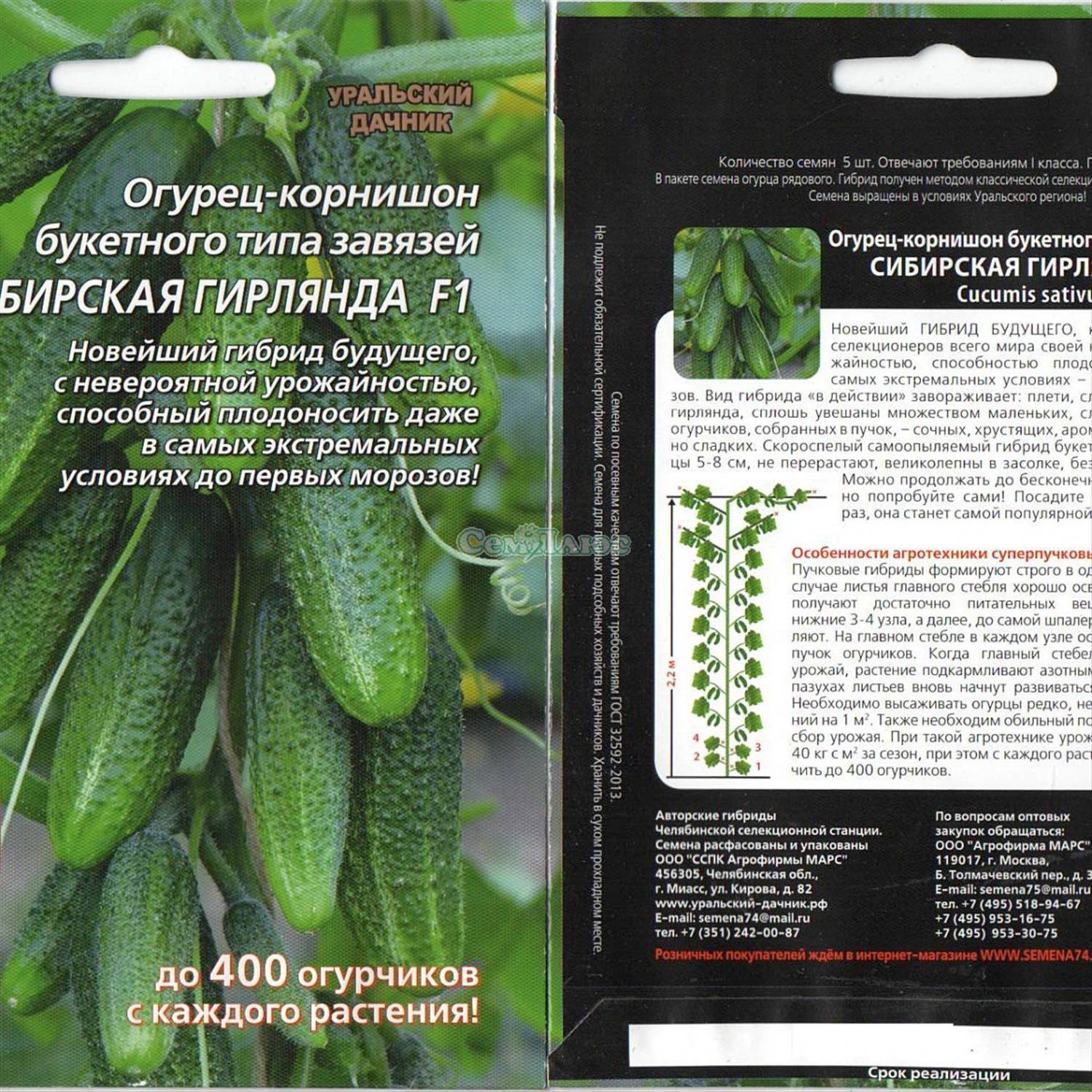 Огурец сибирский букет f1: отзывы об урожайности и фото семян сибирский сад, описание сорта, посадка и уход