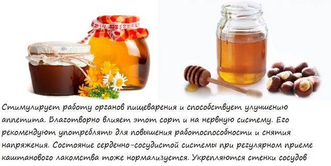 Каштановый мед: чем полезен для здоровья и как применять