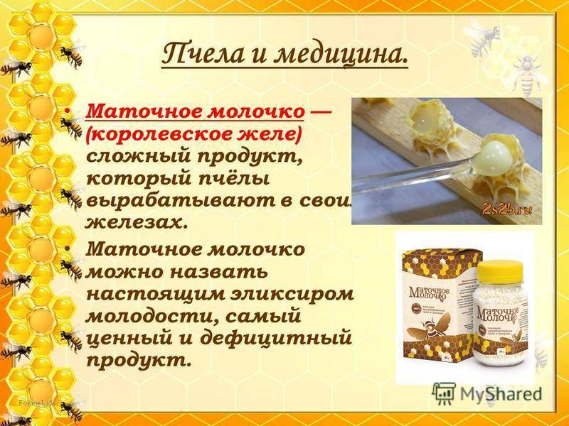 Как принимать маточное молочко? маточное молочко пчелиное - полезные свойства :: syl.ru