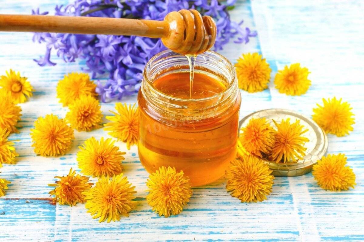 Как сварить мед из одуванчиков в домашних условиях
