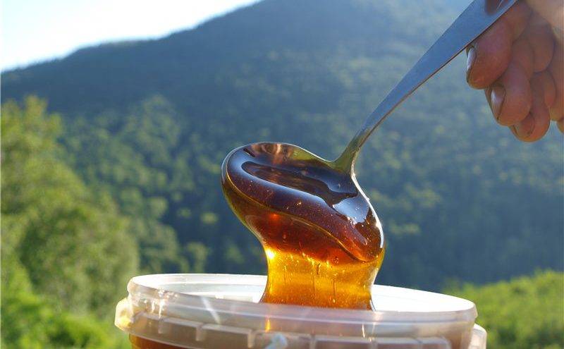 Томаты алтайский мед. описание сорта, фото, отзывы
