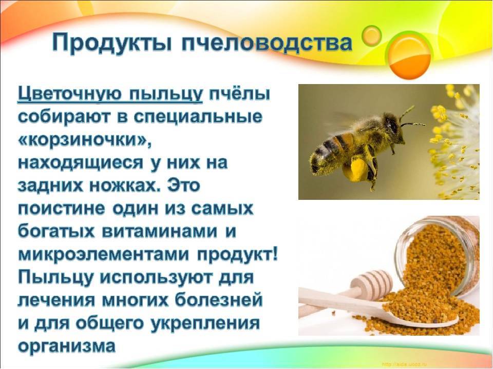 Эффективное лечение пчелиной пыльцой