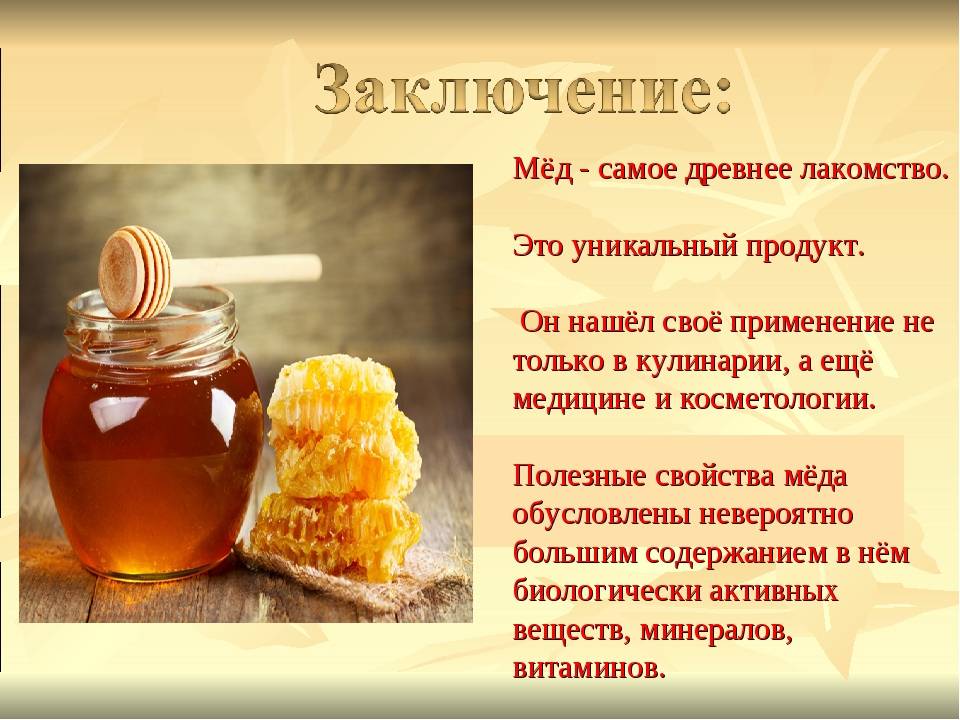 Топ-10 популярных сортов мёда и их влияние на организм человека
