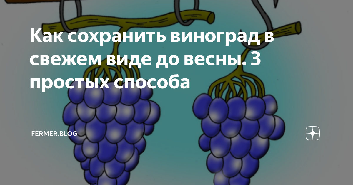Сколько можно хранить в холодильнике виноград