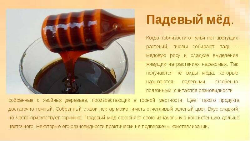 Черный мед ?: сорта, лечебные свойства и его отличительные особенности,применение