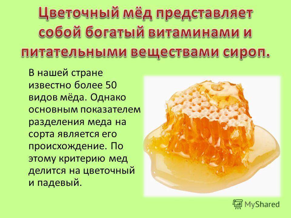 Виды мёда и свойства различных сортов