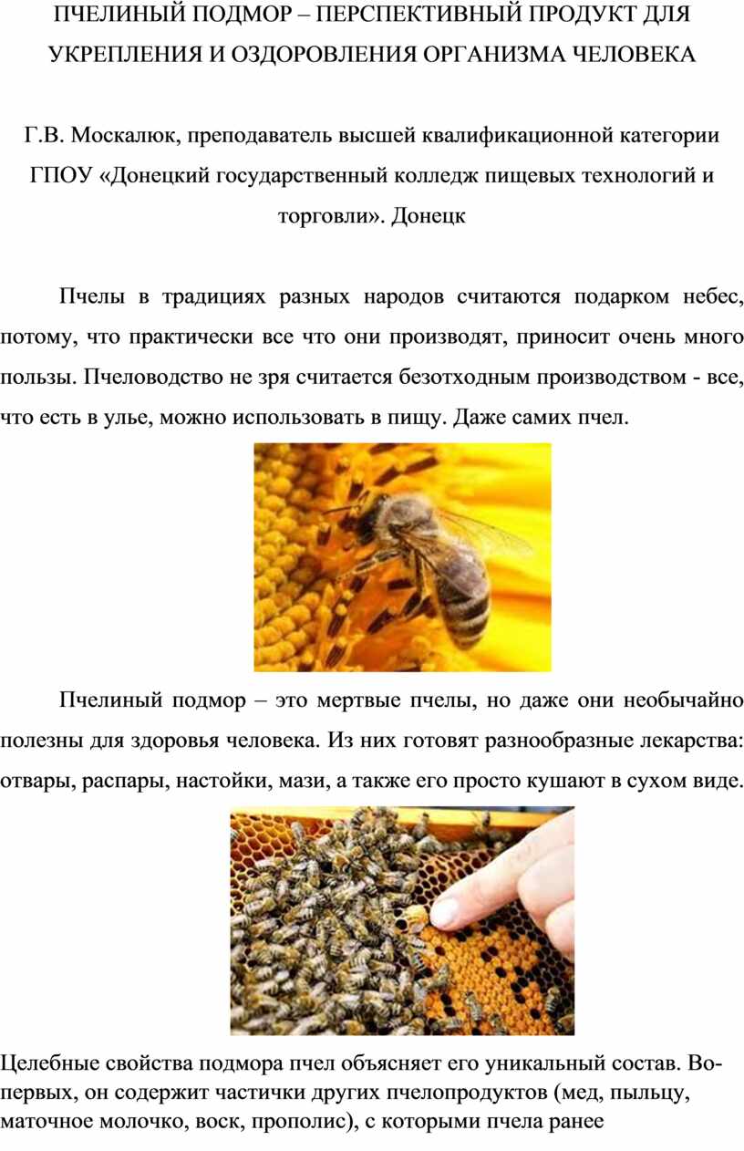 Подмор пчелиный — польза и вред для мужчин и женщин, применение и отзывы ????