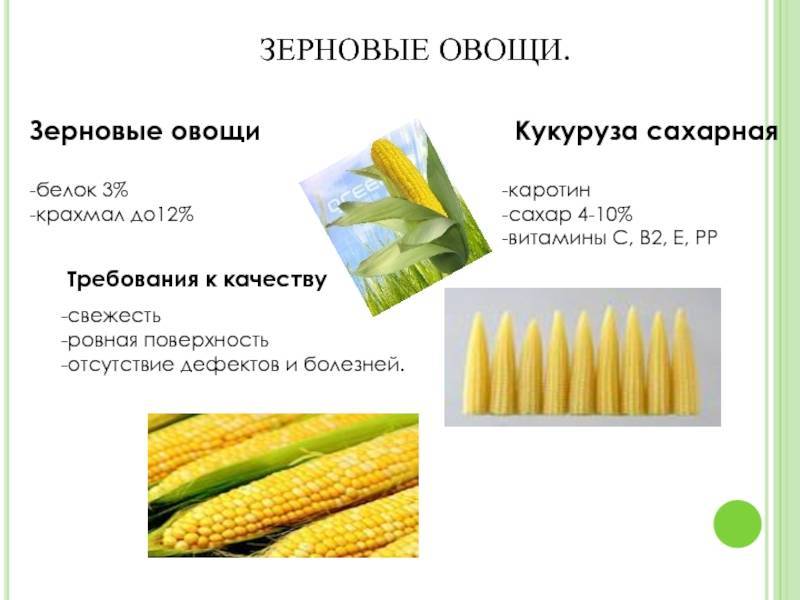 Кукуруза - польза и вред