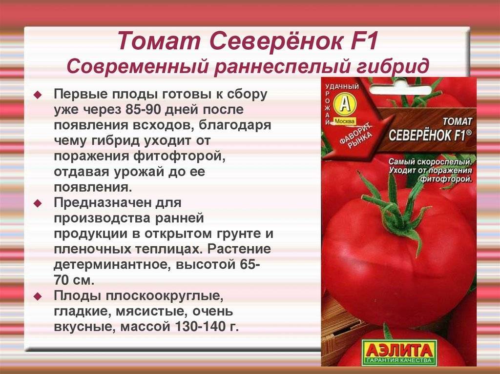 Детерминантные и индетерминантные сорта томатов — в чем разница