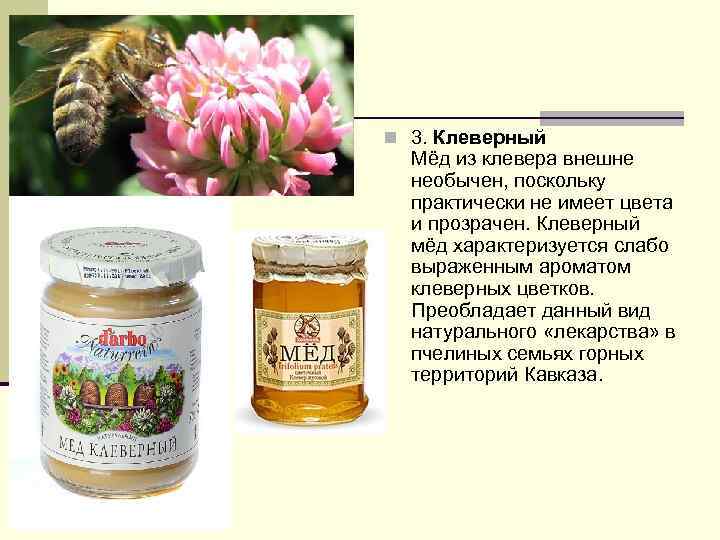 Клеверный мёд: полезные свойства и противопоказания