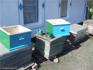 Краска для ульев: правила выбора и нанесения, какой цвет нравится пчелам