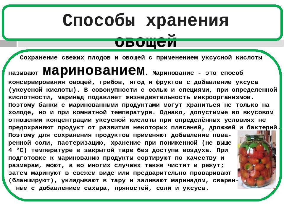 Как высушить сливу правильно, где ее можно использовать