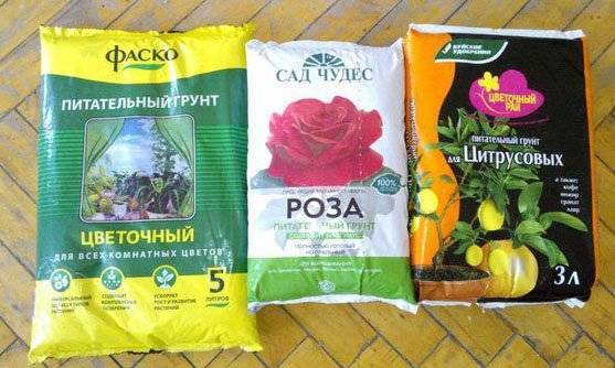 Подходящий грунт для выращивания конопли одежда с марихуаной украина