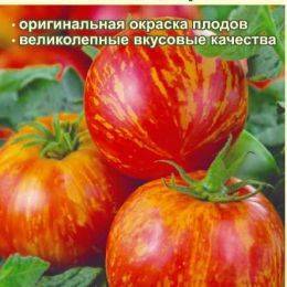 Томат толстой