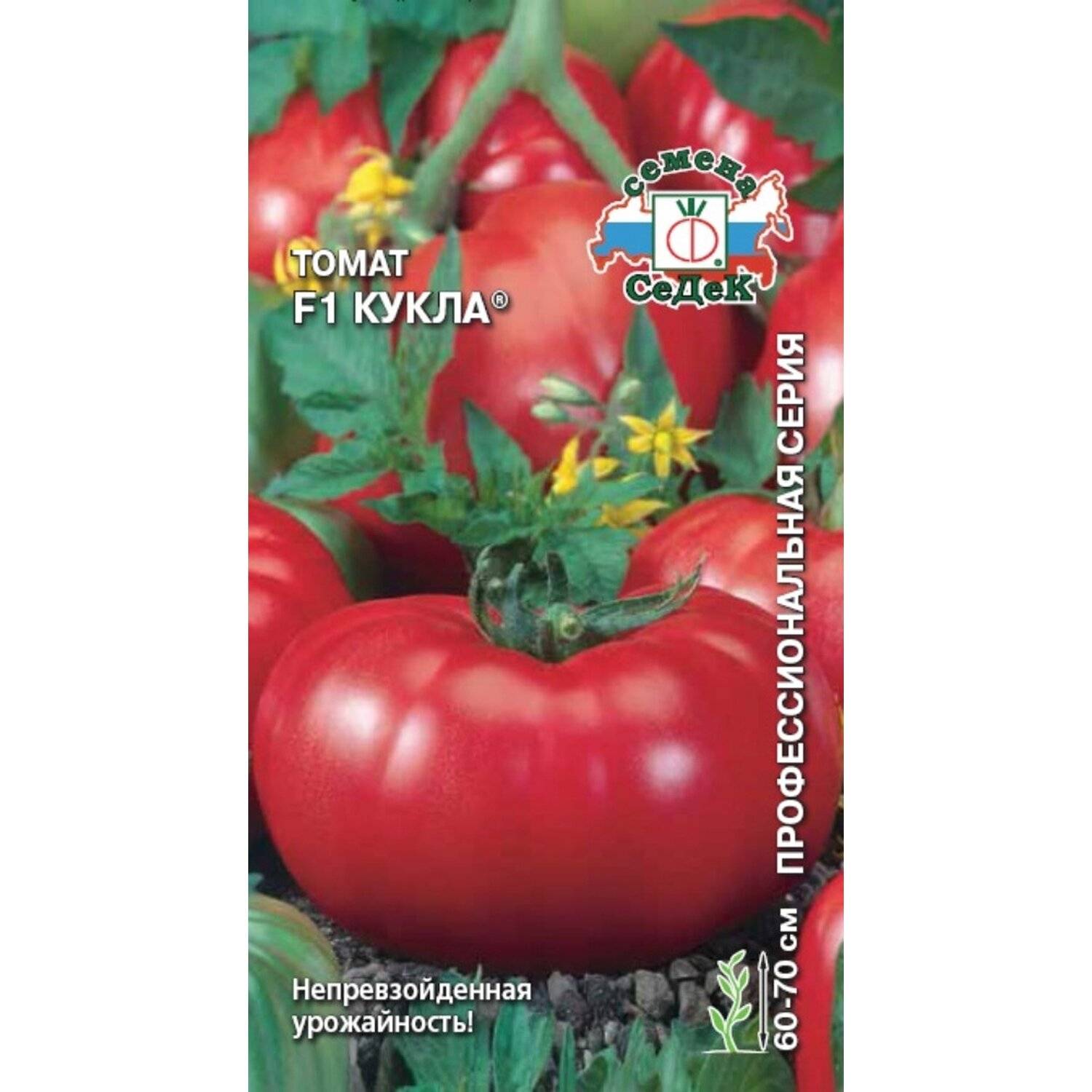 Томат «кукла маша» f1: описание сорта, особенности выращивания и профилактика болезней помидоры русский фермер