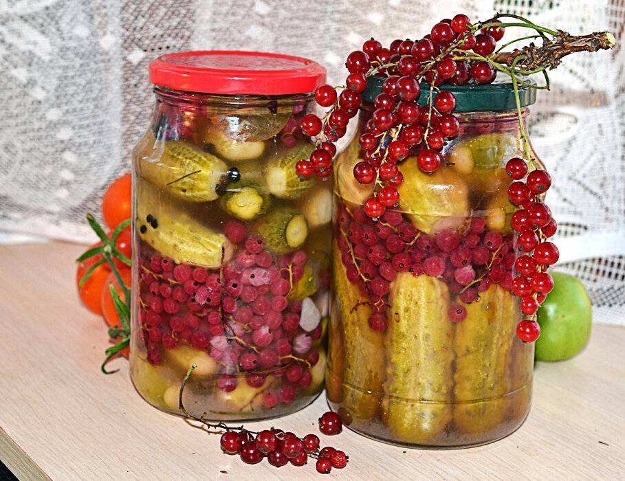 Огурцы, маринованные в красной смородине | страна мастеров
