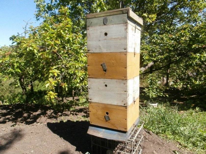 Многокорпусное содержание пчел с рамкой