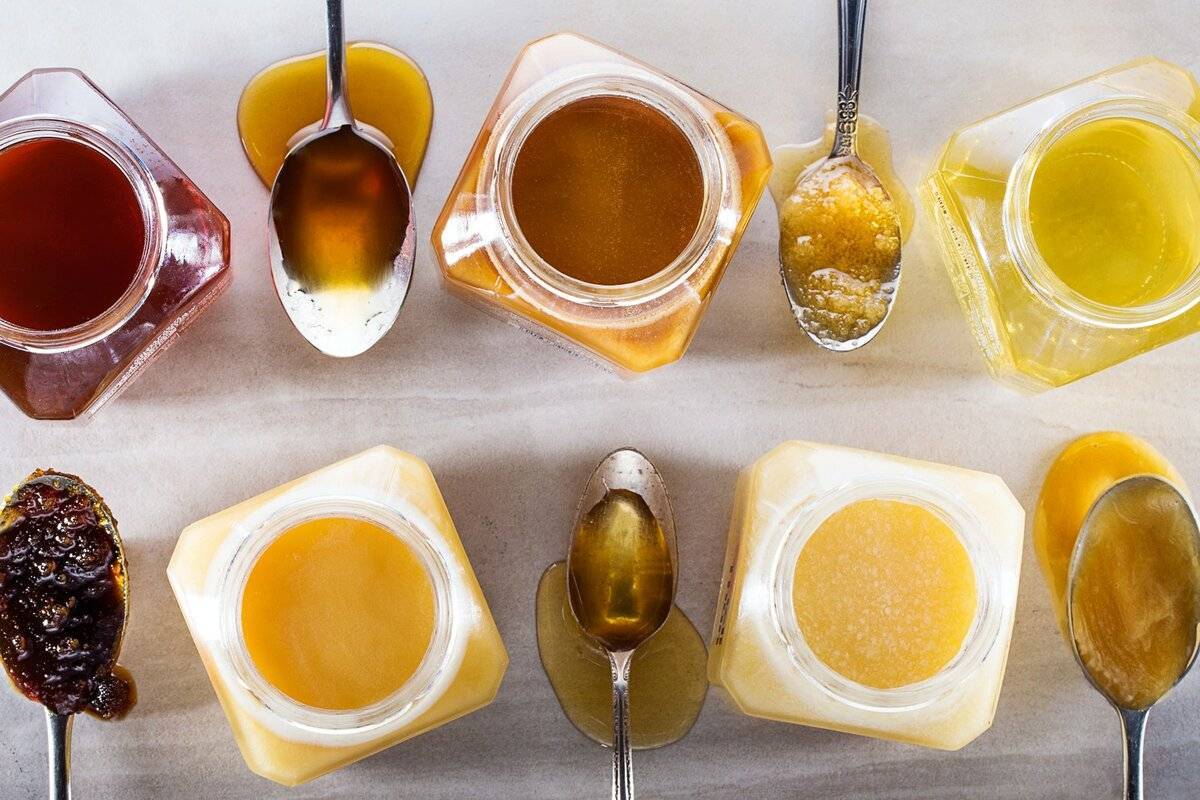 Виды меда и их характеристика с фото