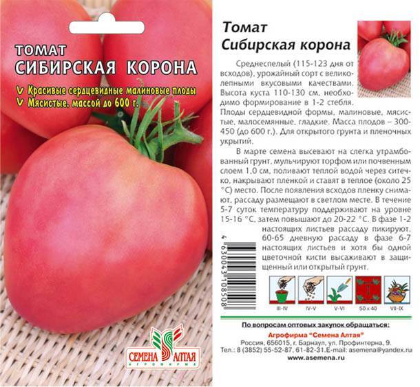 Очередной шедевр из популярной селекции мязиной — томат северное чудо: описание сорта