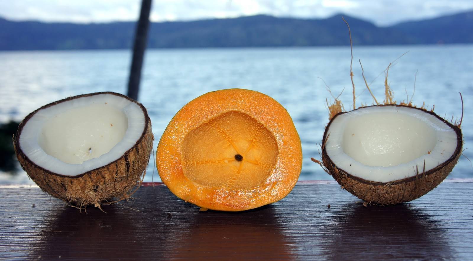 Кокосовая пальма (cocos nucifera). выращивание и уход в домашних условиях. | floplants. о комнатных растениях