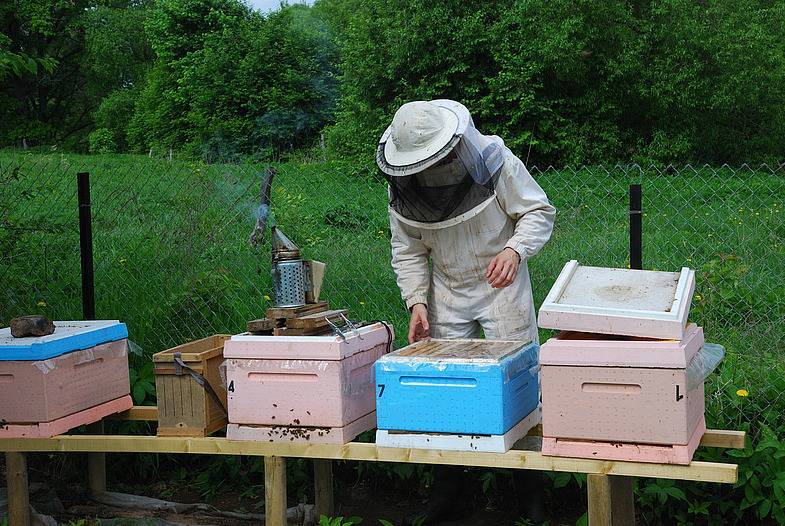 Весенние работы пчеловода на пасеке