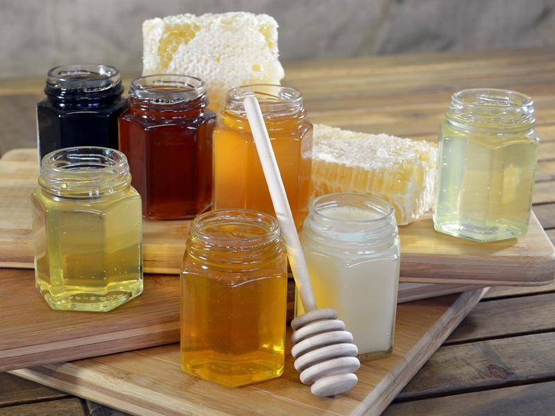 Какие бывают виды и сорта мёда, и чем они полезны