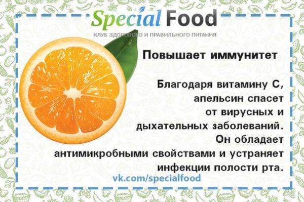 Апельсины: польза и вред для здоровья, влияние на организм, калорийность, полезные свойства и противопоказания