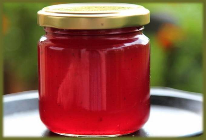 Вкусное желе из черной смородины — рецепты и пошаговые инструкции на зиму: без варки холодным способом, пятиминутка с желатином. как приготовить желе со спелой черной смородиной