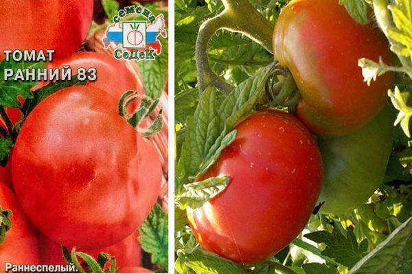 Каталог сверхранних и ранних томатов (часть 1). обсуждение на liveinternet