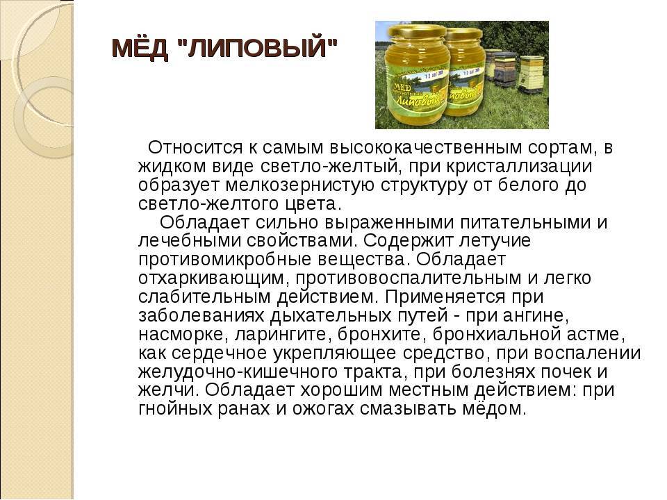 Пустырниковый мёд: описание. состав. полезные свойства. рецепты - медовый сундучок