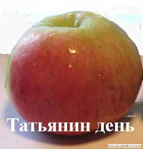 Сорт яблони татьяна: подробные описание и фото яблони