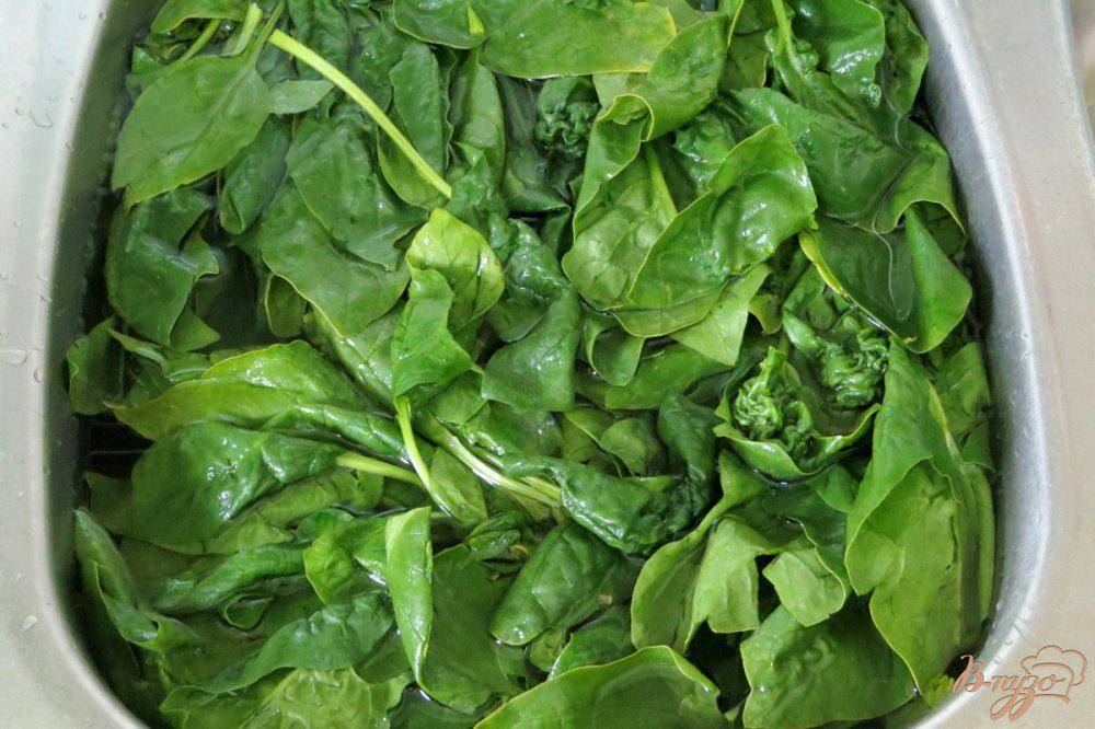 Как замораживать шпинат в морозилке: свежие листья, заготовки в пакетах, как и сколько хранить шпинат