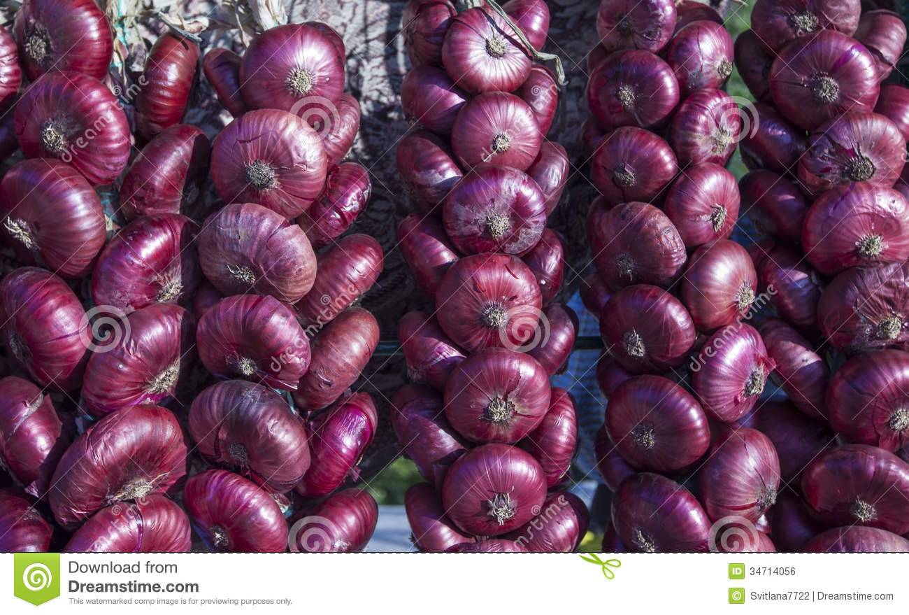Крымский лук или ялтинский: как выращивать красный из семян в средней полосе, как вырастить белый в подмосковье, сладкий