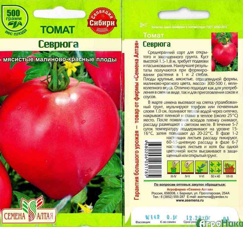 семена севрюга помидоры