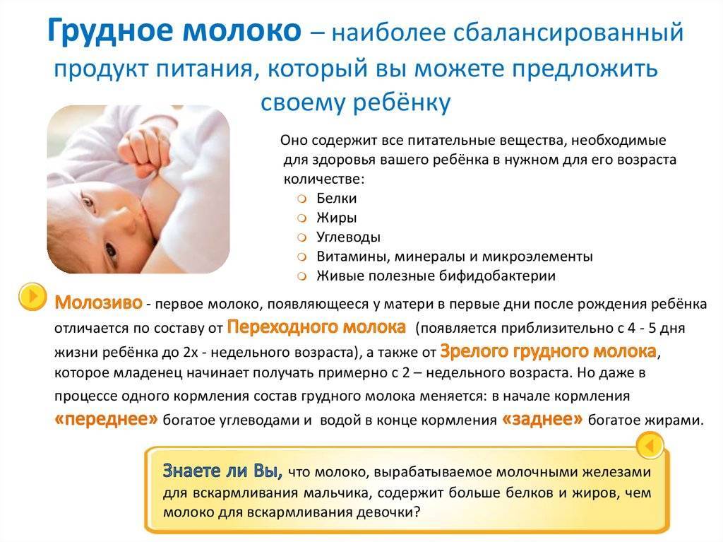 Можно ли беременным мед: в 1, 2, 3 триместре, польза и вред