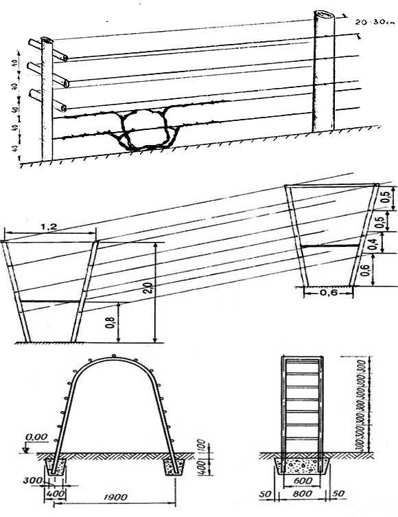 Шпалера для винограда деревянная своими руками чертежи и фото пошаговая инструкция