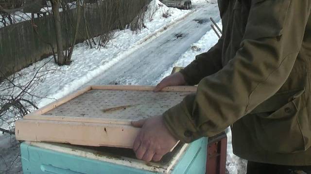Утепление пчел на зиму на открытом воздухе
