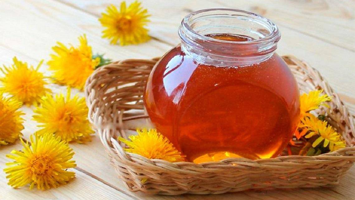 Мед из одуванчиков: рецепт в домашних условиях, польза и вред, как приготовить