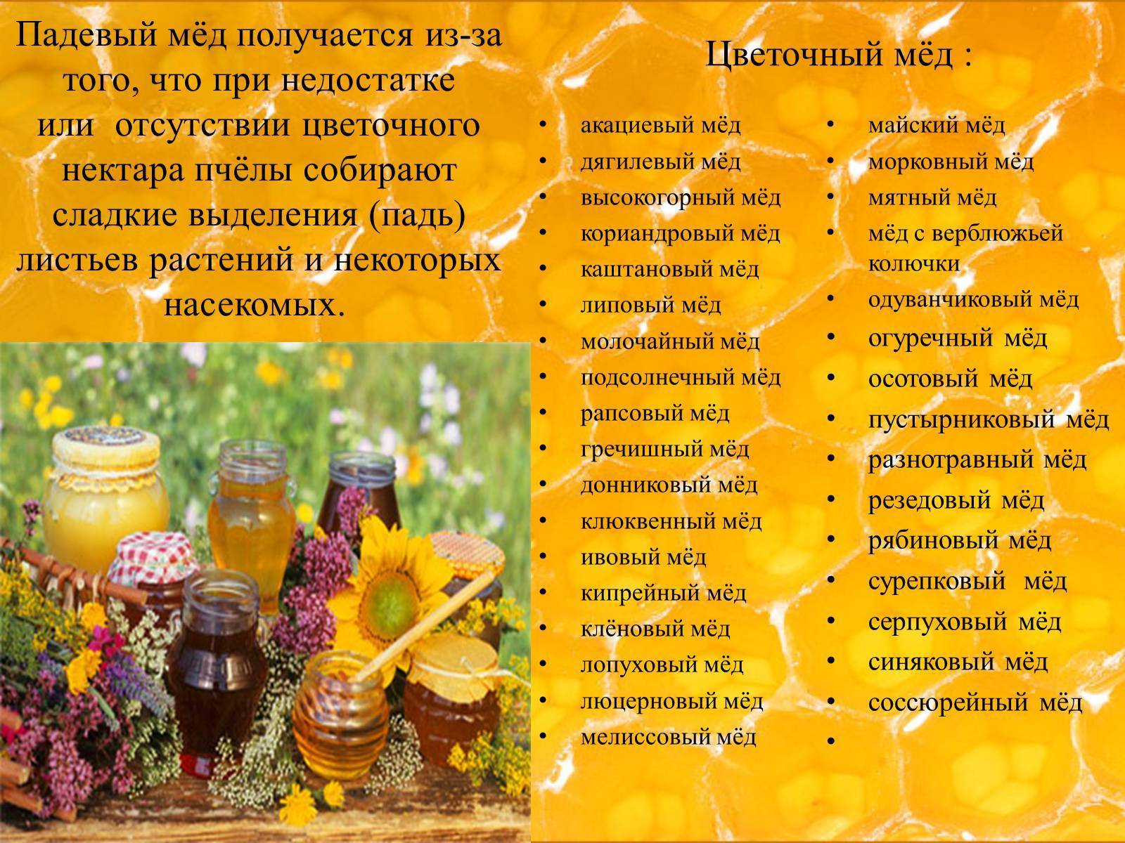 Цветочный мёд: полезные свойства и противопоказания