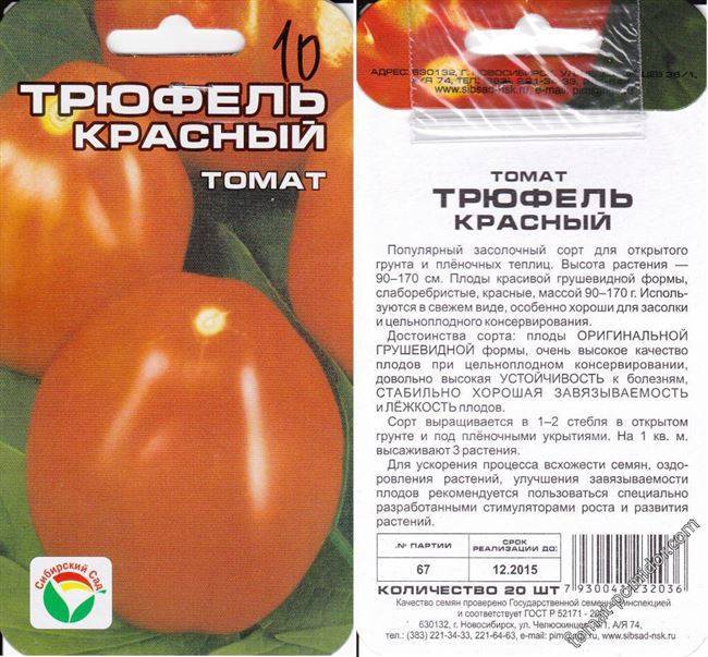 Томат дружок f1: отзывы дачников со стажем, характеристика и описание сорта помидоров, методика его выращивания