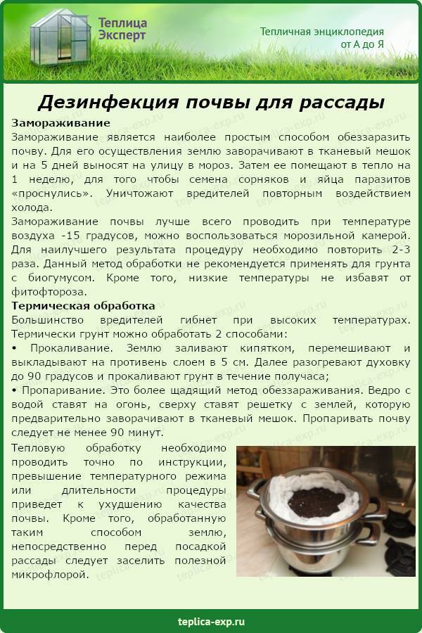 Обеззараживание почвы для рассады - 5 лучших способов
