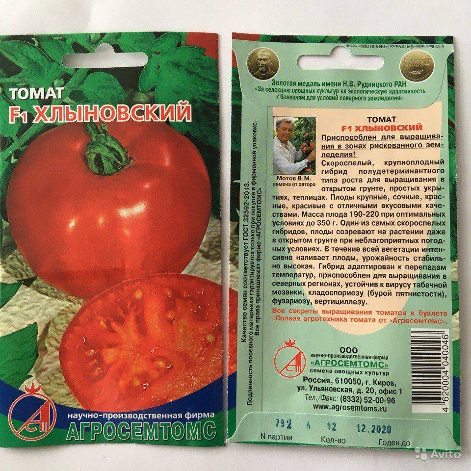 Как выращивать томаты: подробная инструкция