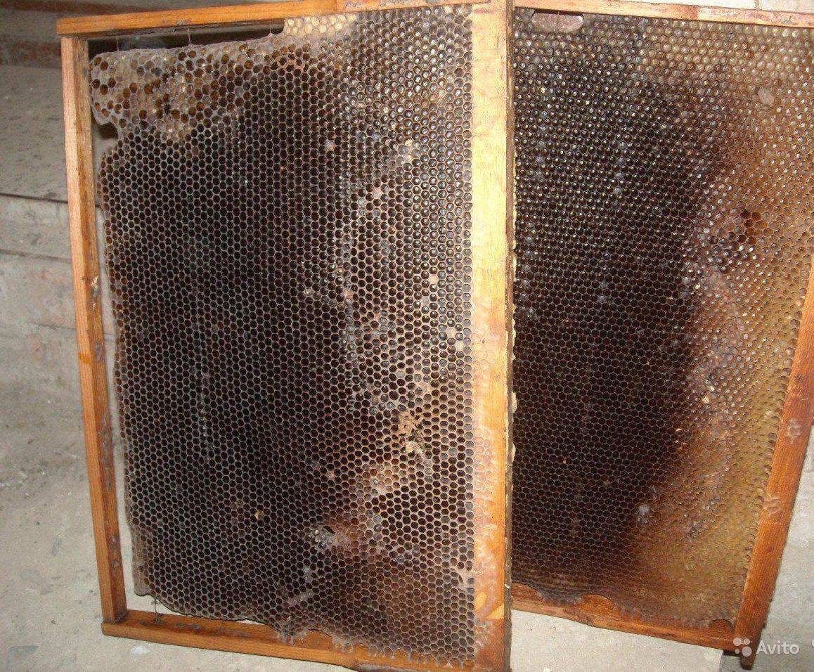 Обработка и хранение пчелиных сотов