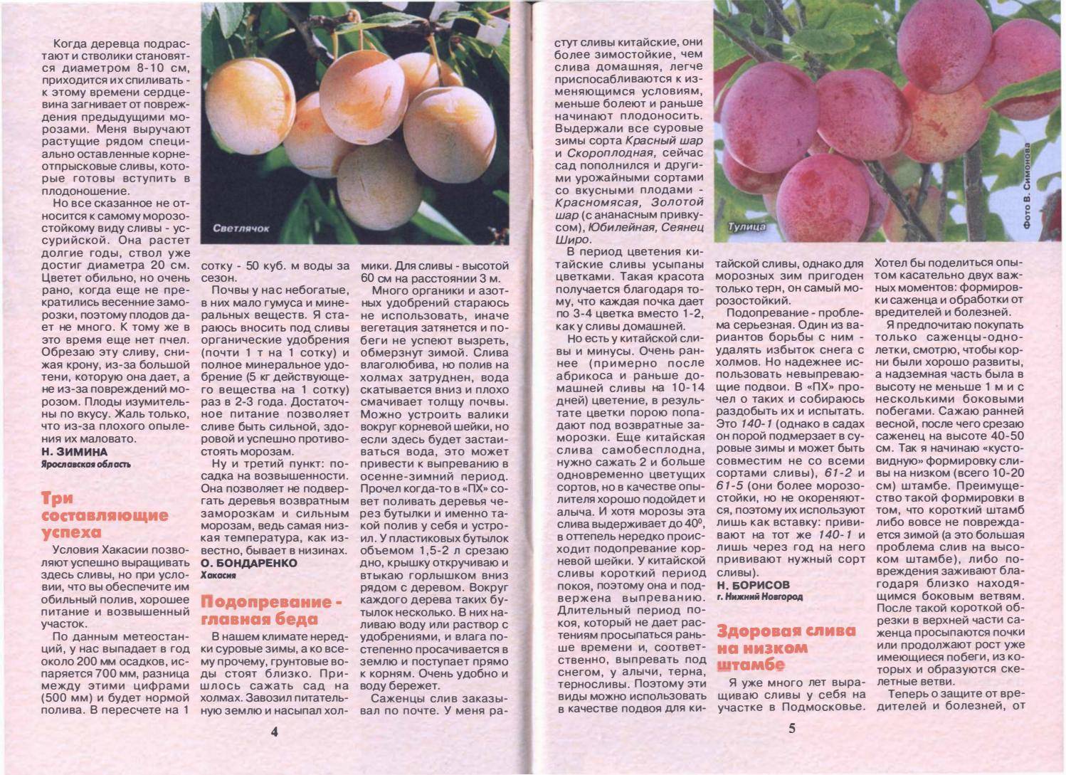 15 лучших сортов персика
