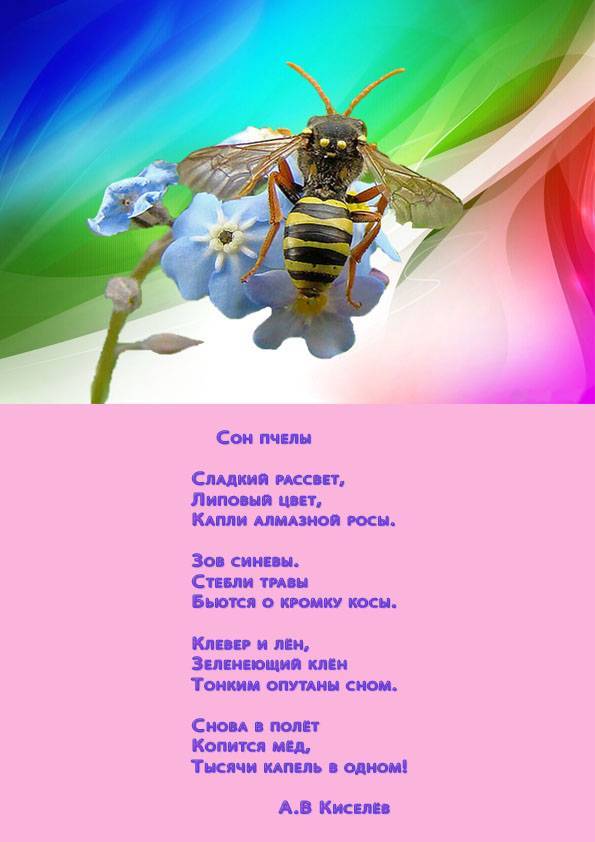 К чему снится рой пчел, толкование сна по соннику