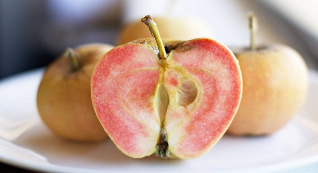 Яблоки сорта розовый жемчуг: описание, посадка, уход, фото