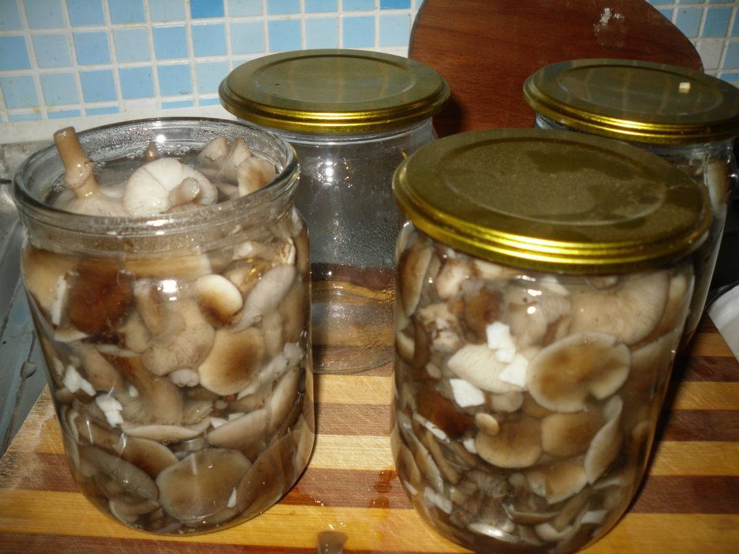 Белые грибы на зиму: топ-6 лучших рецептов, пошаговое приготовление