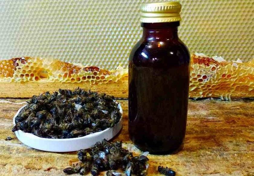Польза и вред пчелиного подмора, применение в народной медицине