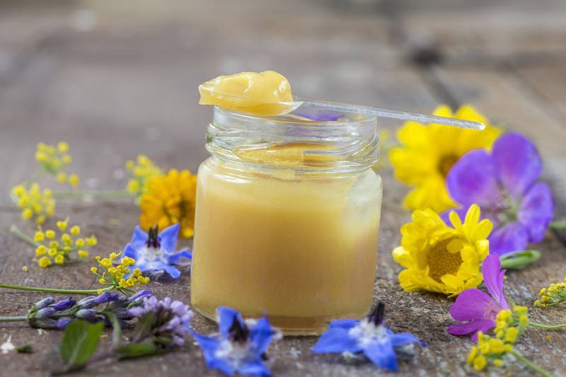 Амурский бархат мед полезные свойства и противопоказания