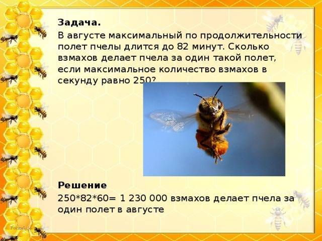 Собирают ли осы мед?